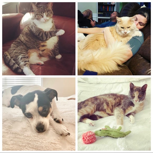 Hey y’all, I’m Jenna Coffee! ❤️🤓 - Picture 10 of 11